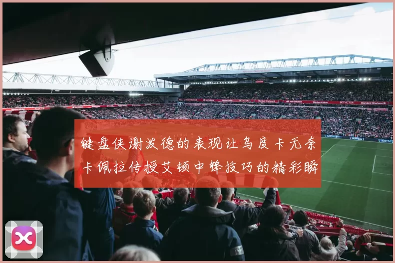键盘侠谢泼德的表现让乌度卡无奈卡佩拉传授艾顿中锋技巧的精彩瞬间